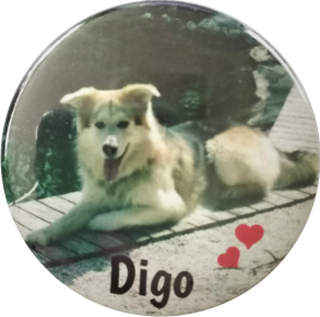 Dog Badge